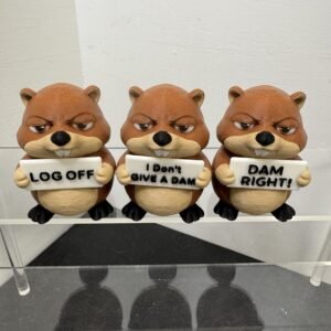 awa beaver 4