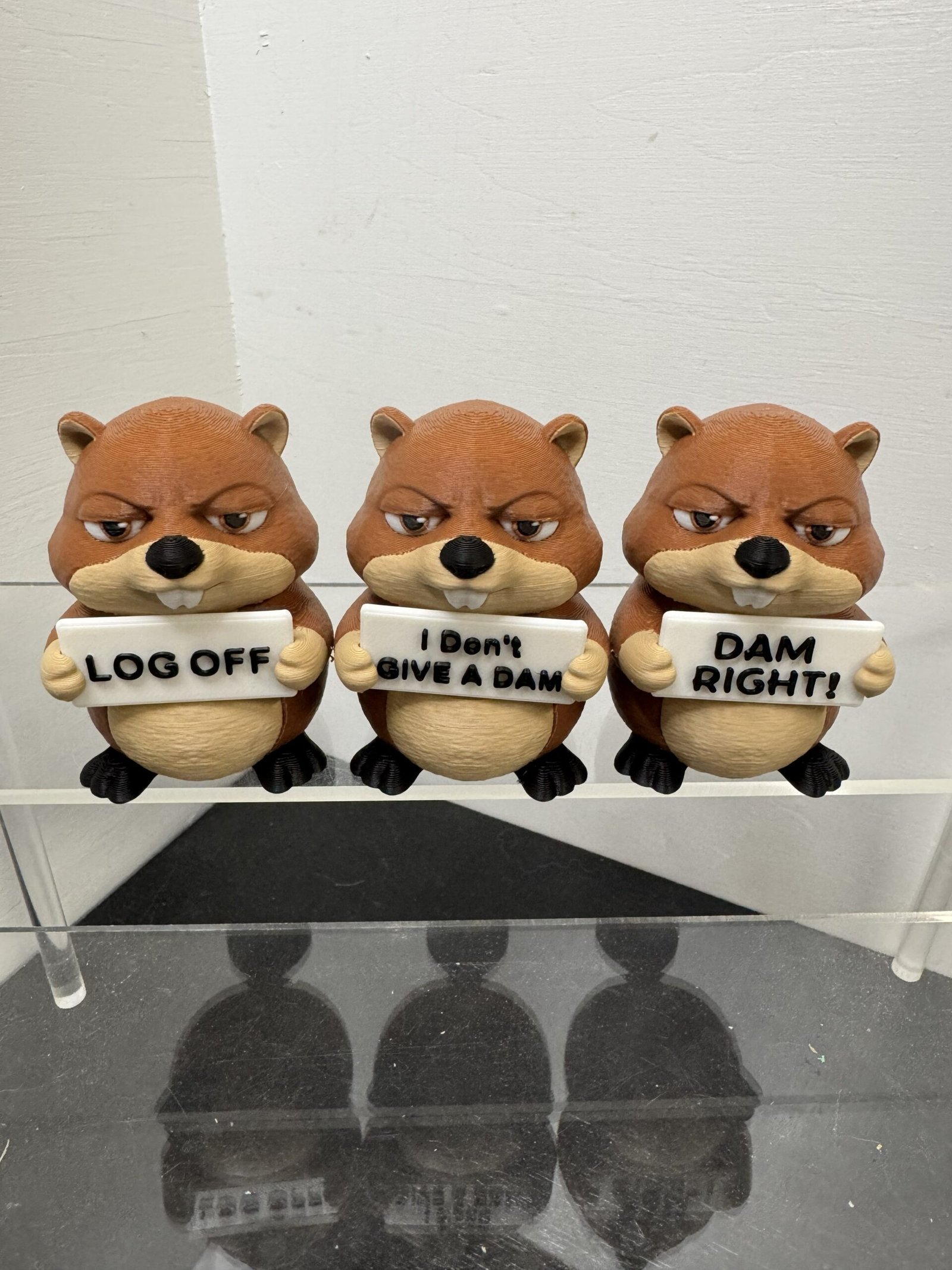 awa beaver 4 awa beaver 4