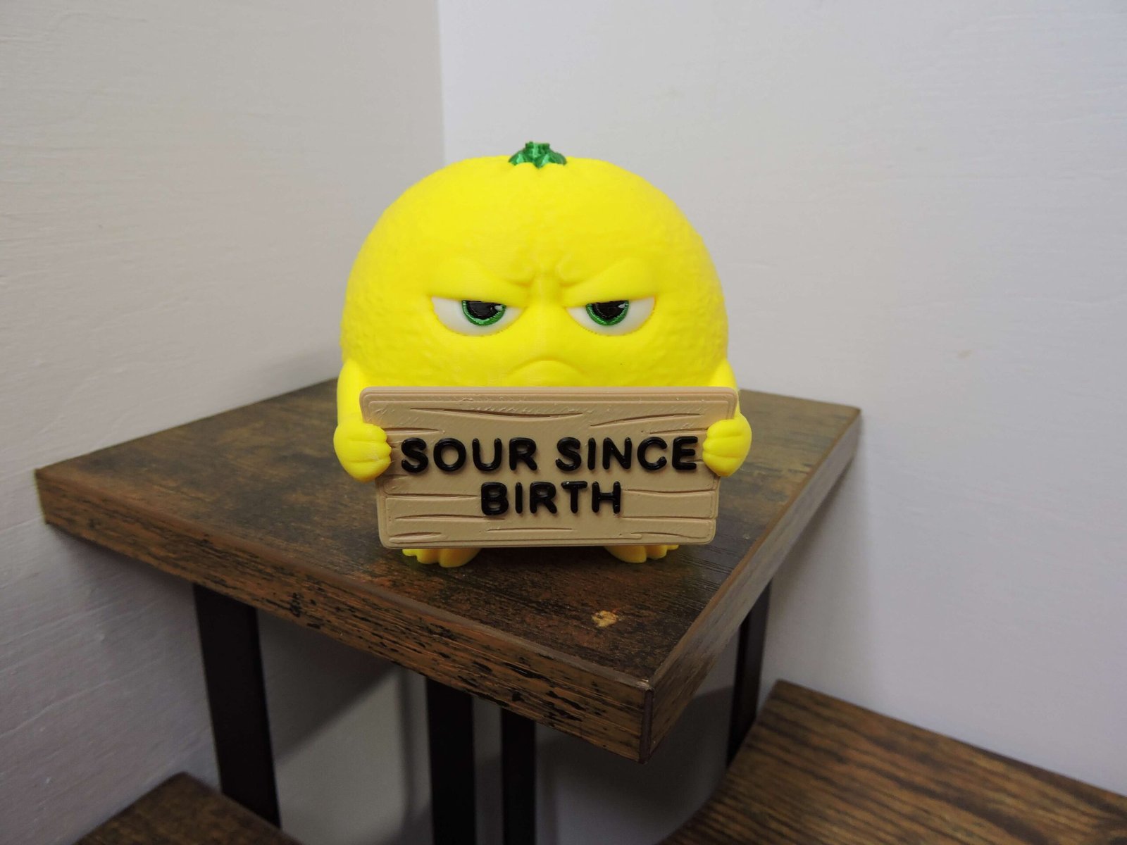 sassy citrus 19 sassy citrus 19